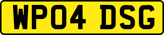 WP04DSG