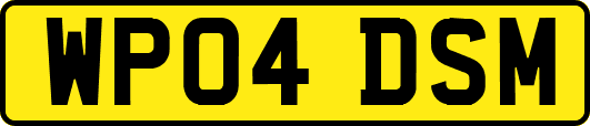 WP04DSM