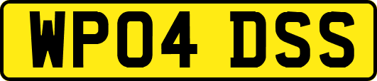 WP04DSS