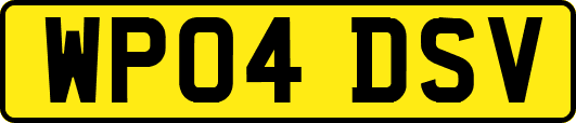 WP04DSV