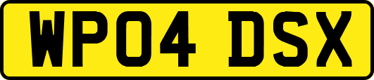 WP04DSX