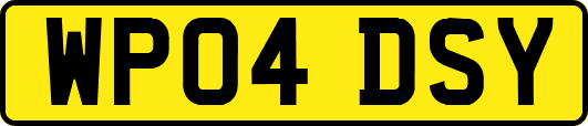 WP04DSY