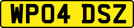 WP04DSZ