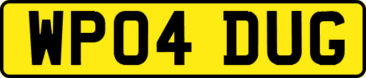 WP04DUG