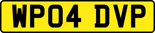 WP04DVP