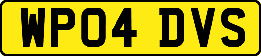 WP04DVS