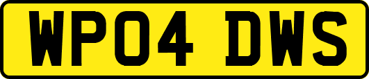 WP04DWS