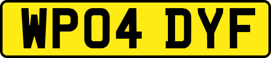 WP04DYF