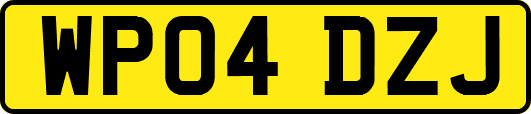 WP04DZJ