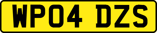 WP04DZS