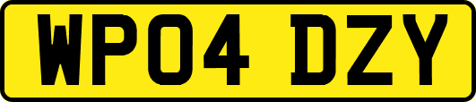 WP04DZY