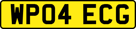 WP04ECG