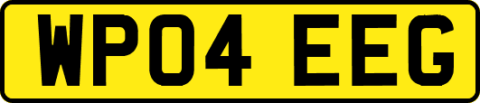 WP04EEG