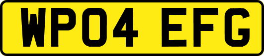 WP04EFG