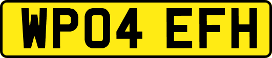 WP04EFH
