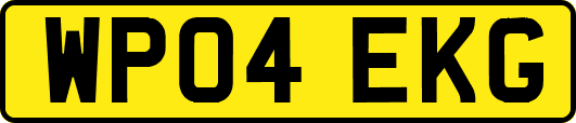 WP04EKG