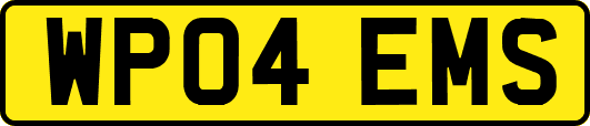 WP04EMS
