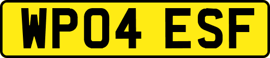 WP04ESF