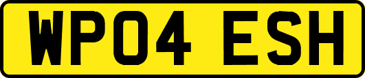 WP04ESH