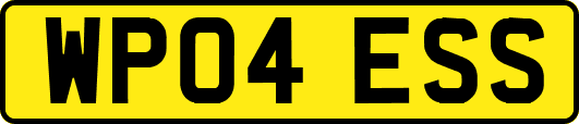 WP04ESS
