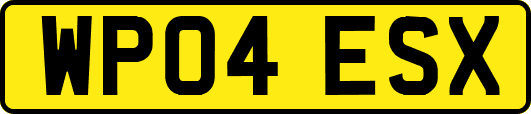 WP04ESX