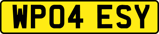 WP04ESY
