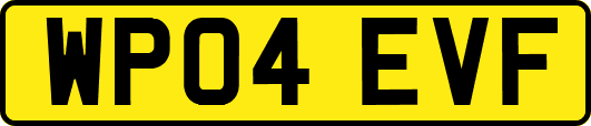WP04EVF