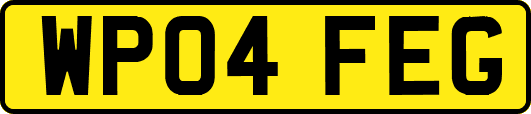 WP04FEG