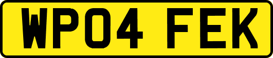 WP04FEK