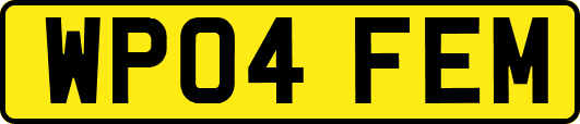WP04FEM