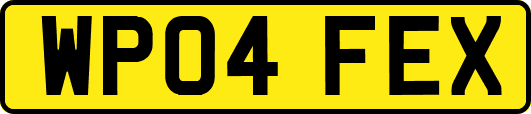 WP04FEX