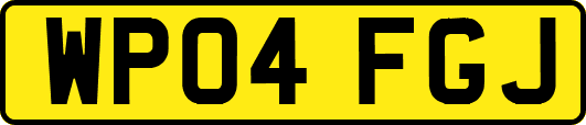 WP04FGJ