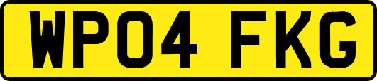 WP04FKG