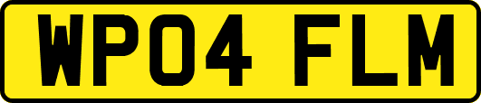 WP04FLM