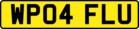 WP04FLU