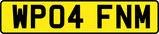 WP04FNM
