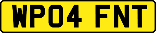 WP04FNT