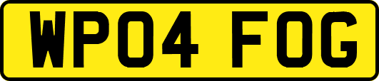WP04FOG