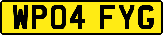 WP04FYG