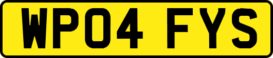 WP04FYS