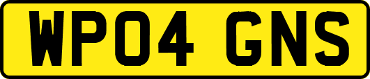 WP04GNS