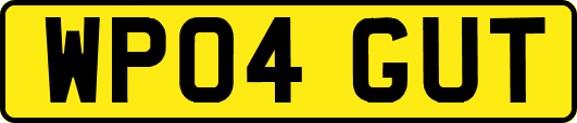 WP04GUT