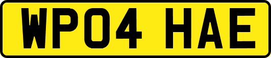 WP04HAE