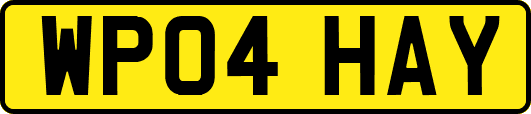 WP04HAY