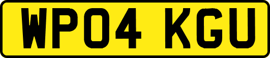 WP04KGU