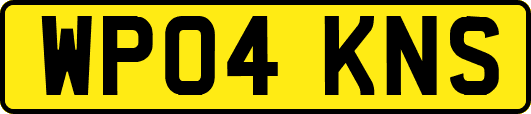 WP04KNS