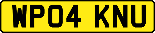 WP04KNU