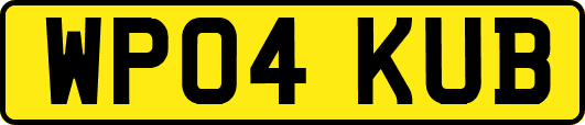 WP04KUB
