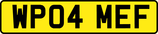 WP04MEF