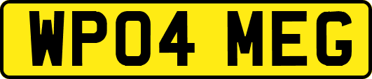 WP04MEG